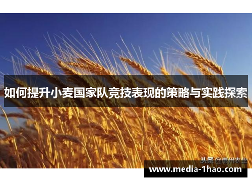 如何提升小麦国家队竞技表现的策略与实践探索