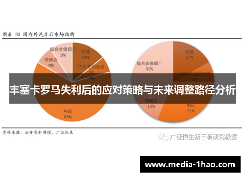 丰塞卡罗马失利后的应对策略与未来调整路径分析