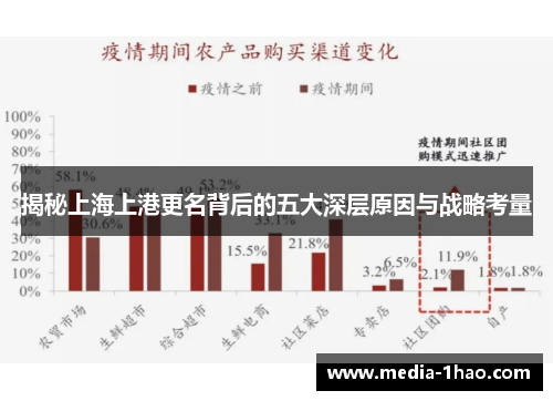 揭秘上海上港更名背后的五大深层原因与战略考量